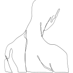 körperwerk - physiotherapie